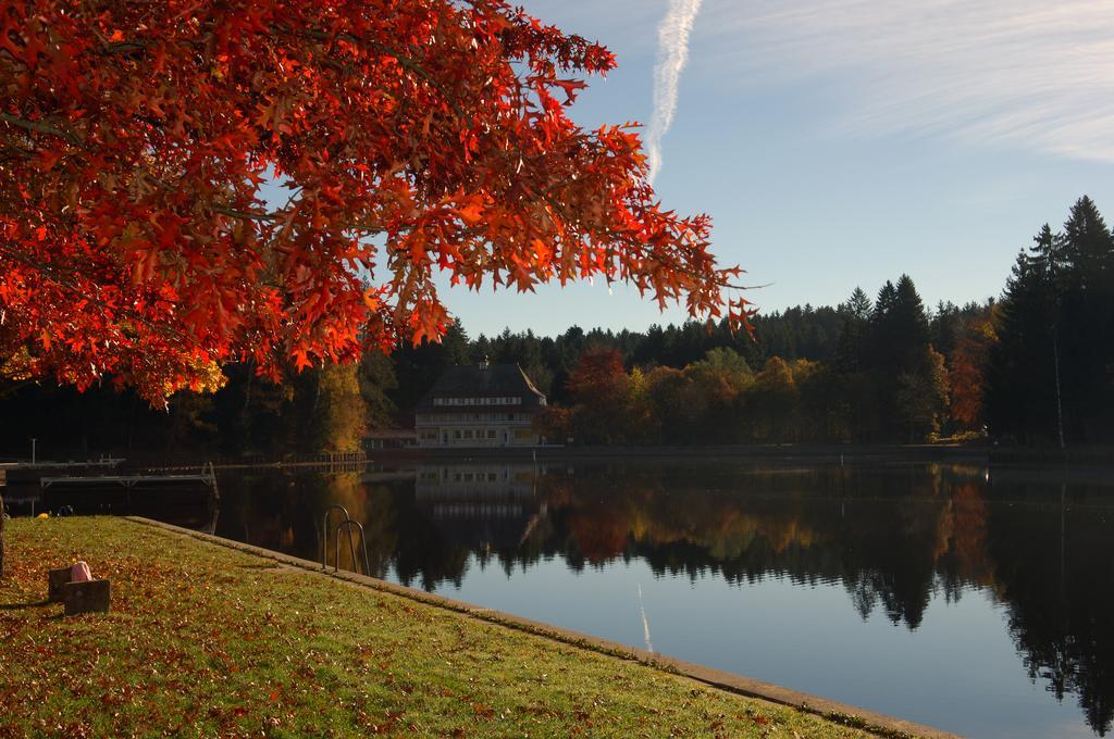 Hotel Waldsee Линденберг-им-Алльгой Экстерьер фото