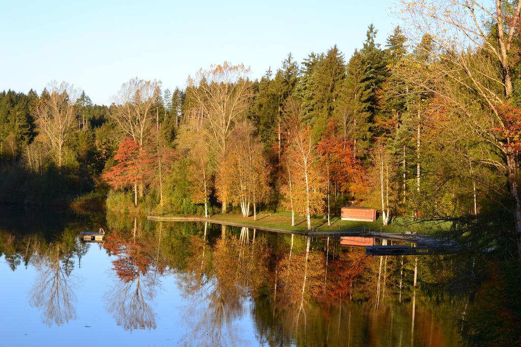 Hotel Waldsee Линденберг-им-Алльгой Экстерьер фото