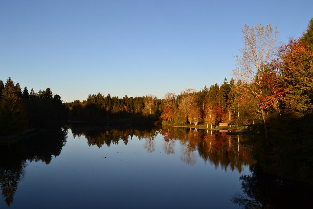 Hotel Waldsee Линденберг-им-Алльгой Экстерьер фото