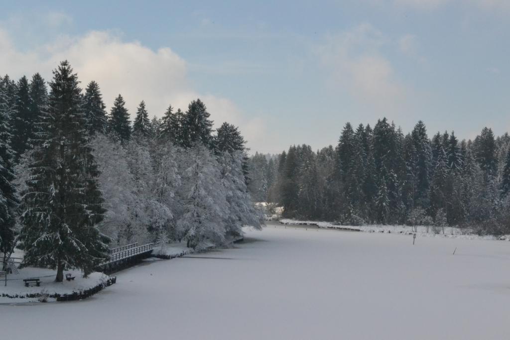 Hotel Waldsee Линденберг-им-Алльгой Экстерьер фото