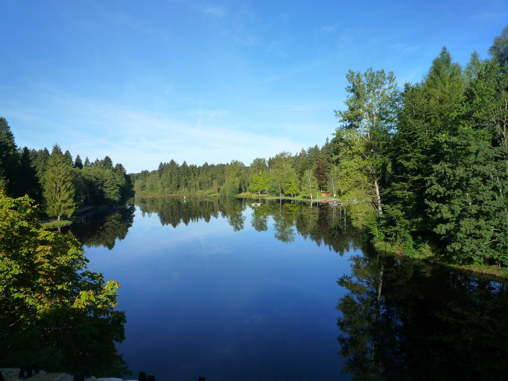 Hotel Waldsee Линденберг-им-Алльгой Экстерьер фото