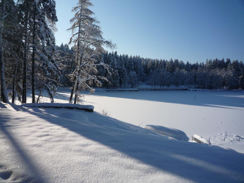 Hotel Waldsee Линденберг-им-Алльгой Экстерьер фото