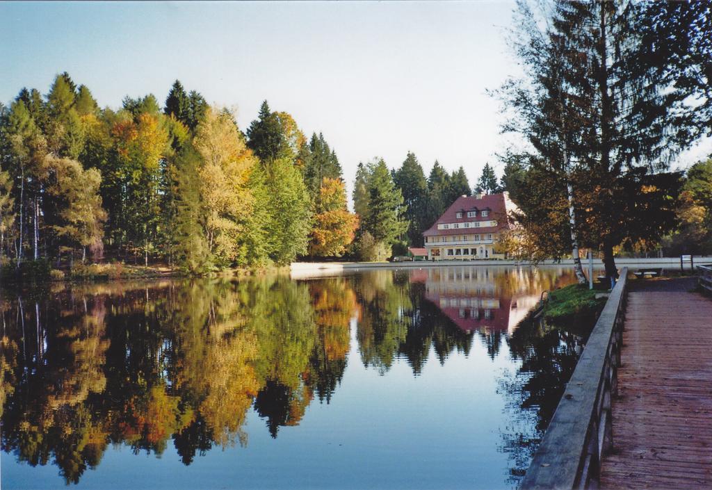 Hotel Waldsee Линденберг-им-Алльгой Экстерьер фото